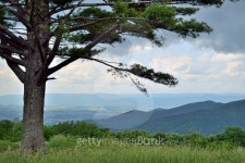 Blue Ridge Mountain Landscape - 1 이미지 (478752250) - 게티이미지뱅크 Blue Ridge Mountain Landscape - 1
