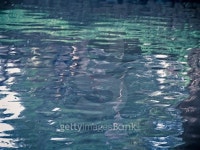 Water waves and reflection of grass 이미지 (469928066) - 게티이미지뱅크 Water waves and reflection of grass