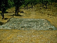 Burnt seed bed 이미지 (485925198) - 게티이미지뱅크 Burnt seed bed