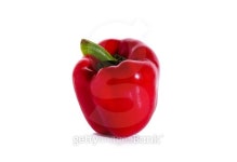 red bell pepper isolated on white background 이미지 (467197398) - 게티이미지뱅크 red bell pepper isolated on white background