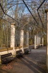 Pergola in  spring park 이미지 (466572758) - 게티이미지뱅크 Pergola in  spring park
