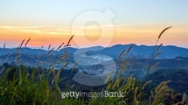 land scape of sunrise on mountain 이미지 (503391726) - 게티이미지뱅크 land scape of sunrise on mountain