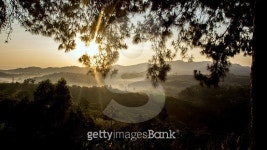 land scape of sunrise on mountain 이미지 (503392366) - 게티이미지뱅크 land scape of sunrise on mountain