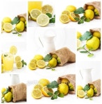 Lemons isolated on white background with pitcher 이미지 (503688108) - 게티이미지뱅크 Lemons isolated on white background with... 