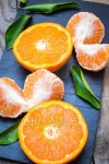 several mature citrus on a wooden table on a blackboard 이미지 (513630642) - 게티이미지뱅크 several mature citrus on a wooden... 