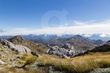 View from Mount Owen in Kahurangi National Park 이미지 (504694582) - 게티이미지뱅크 View from Mount Owen in Kahurangi... 