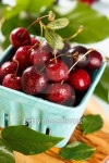 Fresh cherriesÑ 이미지 (503563802) - 게티이미지뱅크 Fresh cherriesÑ