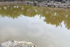surface of the pond in the park 이미지 (503304608) - 게티이미지뱅크 surface of the pond in the park