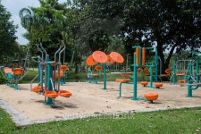 Fitness in the Park 이미지 (509687776) - 게티이미지뱅크 Fitness in the Park