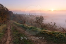 Countryside landscape at foggy sunrise 이미지 (503899982) - 게티이미지뱅크 Countryside landscape at foggy sunrise