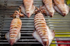 Grilled sea food 이미지 (503920186) - 게티이미지뱅크 Grilled sea food