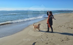 Woman and dog playing on the beach 이미지 (508895010) - 게티이미지뱅크 Woman and dog playing on the beach