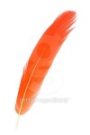 feather 이미지 (504114144) - 게티이미지뱅크 feather