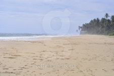 Beach and ocean wait for you 이미지 (504310682) - 게티이미지뱅크 Beach and ocean wait for you