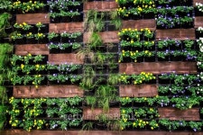 potted flowers and hanging on the wall 이미지 (512344154) - 게티이미지뱅크 potted flowers and hanging on the wall