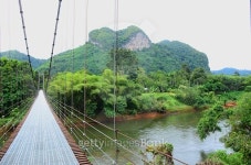 Suspension bridge to the jungle. 이미지 (509867846) - 게티이미지뱅크 Suspension bridge to the jungle.