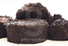 Used Coffee Grounds On White Background 이미지 (505088760) - 게티이미지뱅크 Used Coffee Grounds On White Background