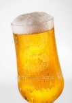 Beer 이미지 (509710256) - 게티이미지뱅크 Beer