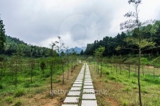 Scenery 이미지 (512336562) - 게티이미지뱅크 Scenery