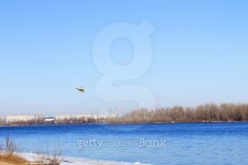 Helicopter over the river 이미지 (509689220) - 게티이미지뱅크 Helicopter over the river
