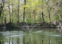 Summerlike day in the marketplace | Mid of Germany