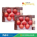 		농협몰 [경북능금농협] 문경사과 2.5kg*2(총5kg,16내)