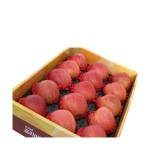 		농협몰 농협 뜨라네 프리미엄 사과세트 5kg(14~16과)