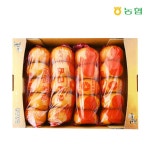 		농협몰 경남 진영농협 토박이 단감 5kg(특대과/20내),2L