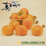 		농협몰 진영농협 단감 2.5kg
