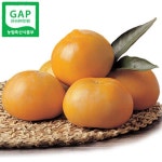 농협몰 [GAP인증] 감고을 아삭단감 5kg(20과)/특품