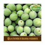 		농협몰 농협 순천 하누리네 매실 10kg(대/특/상)