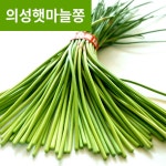		농협몰 [송이네농장] 2020년산 아삭아삭 의성 햇 마늘쫑