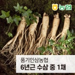 		농협몰 
