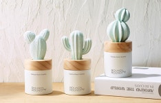 ROUND AROUND[라운드어라운드] :: 천삼백케이 ROUND AROUND[라운드어라운드]