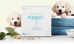 하루발란스 :: 천삼백케이 하루발란스