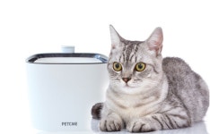 PETCME[펫크미] :: 1300k 천삼백케이 PETCME[펫크미]