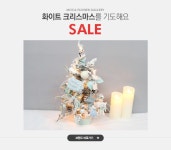 화이트 크리스마스를 기도해요 ,모카플라워갤러리 SALE - 이벤트 :: 천삼백케이