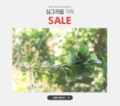 싱그러움 가득, 더플라워마켓 sale - 이벤트 :: 천삼백케이