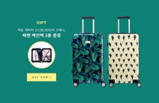 1300k x 럭키플래닛 단독 이벤트~ 61%+증정 :: 천삼백케이 1300k x 럭키플래닛 단독 이벤트~ 61%+증정