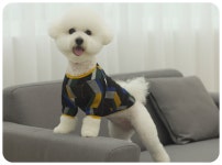 남들과 다른 펫션을 원한다면? 퍼피온 :: 1300k 천삼백케이 남들과 다른 펫션을 원한다면? 퍼피온