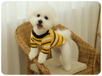 남들과 다른 펫션을 원한다면? 퍼피온 :: 1300k 천삼백케이 남들과 다른 펫션을 원한다면? 퍼피온