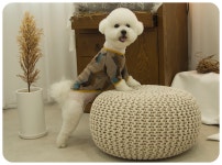 남들과 다른 펫션을 원한다면? 퍼피온 :: 1300k 천삼백케이 남들과 다른 펫션을 원한다면? 퍼피온