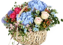 당일 전국꽃배달 ㈜99플라워 _ 신속, 정확한 당일전국 2시간 꽃배달서비스. 꽃바구니, 꽃다발, 동서양난, 경조화환, 관엽.화분등 전국 당일... 