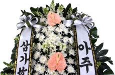 당일 전국꽃배달 ㈜99플라워 _ 신속, 정확한 당일전국 2시간 꽃배달서비스. 꽃바구니, 꽃다발, 동서양난, 경조화환, 관엽.화분등 전국 당일... 