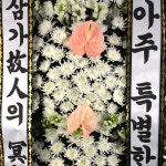 당일 전국꽃배달 ㈜99플라워 _ 신속, 정확한 당일전국 2시간 꽃배달서비스. 꽃바구니, 꽃다발, 동서양난, 경조화환, 관엽.화분등 전국 당일... 