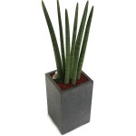 당일 전국꽃배달 ㈜99플라워 _ 신속, 정확한 당일전국 2시간 꽃배달서비스. 꽃바구니, 꽃다발, 동서양난, 경조화환, 관엽.화분등 전국 당일... 