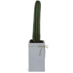 당일 전국꽃배달 ㈜99플라워 _ 신속, 정확한 당일전국 2시간 꽃배달서비스. 꽃바구니, 꽃다발, 동서양난, 경조화환, 관엽.화분등 전국 당일... 