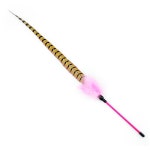 Tiantian pheasant tail feathers make great cats and cats and cats toys CFA Games special