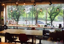 [노트펫][여기어때?] 한가로운 카페 고양이를 만나다, ‘실버라이닝 커피 로스터스’ - 아시아투데이 [노트펫][여기어때?] 한가로운 카페 고양이를... 