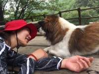 [노트펫][에세이] 북한산의 명물 백운산장..그리고 산장의 보물들 - 아시아투데이 [노트펫][에세이] 북한산의 명물 백운산장..그리고 산장의 보물들